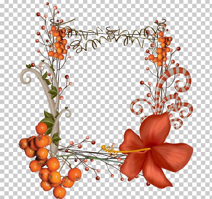 Flower Encapsulated PostScript PNG, Clipart, Branch, Cut Flowers, Download, Drawing, Encapsulated Postscript Free PNG Download