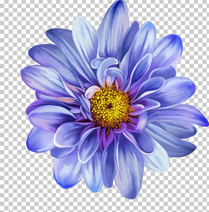 Flower Drawing Blue Rose PNG, Clipart, Annual Plant, Art, Aster, Blue Flower, Blue Rose Free PNG Download
