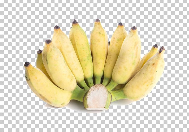 Saba Banana Cooking Banana Lady Finger Banana Pisang Awak PNG, Clipart, Banana, Banana Family, Cavendish Banana, Cooking Banana, Cooking Plantain Free PNG Download