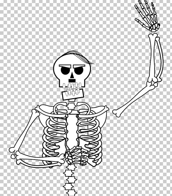 Homo Sapiens Human Skeleton Line Art Bone PNG, Clipart, Angle, Arm, Artwork, Black And White, Bone Free PNG Download