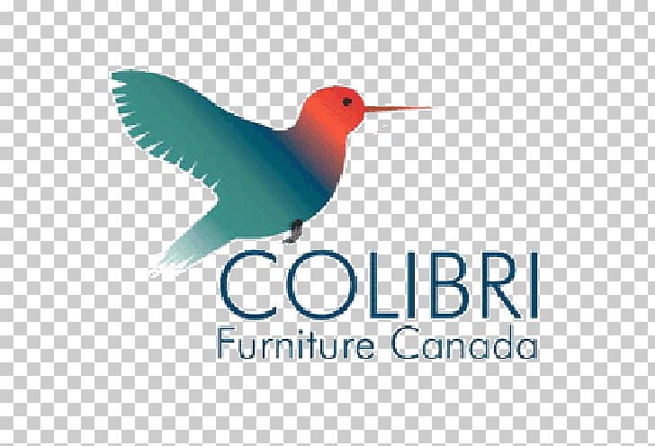 Logo Colibri Group California State Route 1 Advertising Brand PNG, Clipart, Advertising, Beak, Bird, Brand, California State Route 1 Free PNG Download