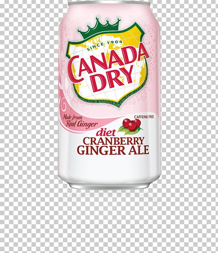 Ginger Ale Fizzy Drinks Tonic Water RC Cola Carbonated Water PNG, Clipart, 7 Up, Canada Dry, Carbonated Water, Diet Coke, Diet Drink Free PNG Download