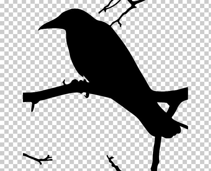 The Raven Common Raven PNG, Clipart, Art, Beak, Bird, Black And White, Blog Free PNG Download