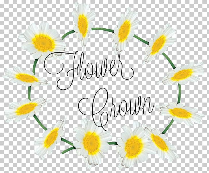 Floral Design Cut Flowers Petal Font PNG, Clipart, Annaflowerru, Art, Cut Flowers, Daisy, Flora Free PNG Download