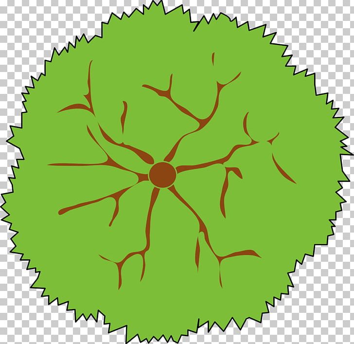 Tree Shrub PNG, Clipart, Area, Circle, Drawing, Evergreen, Flora Free PNG Download