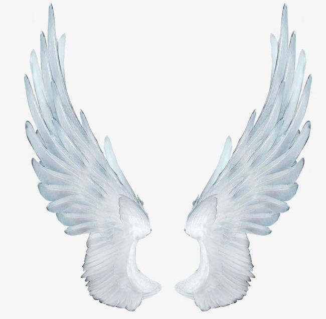 Wing Png Clipart Angel Animal Animal Wing Animation Backgrounds