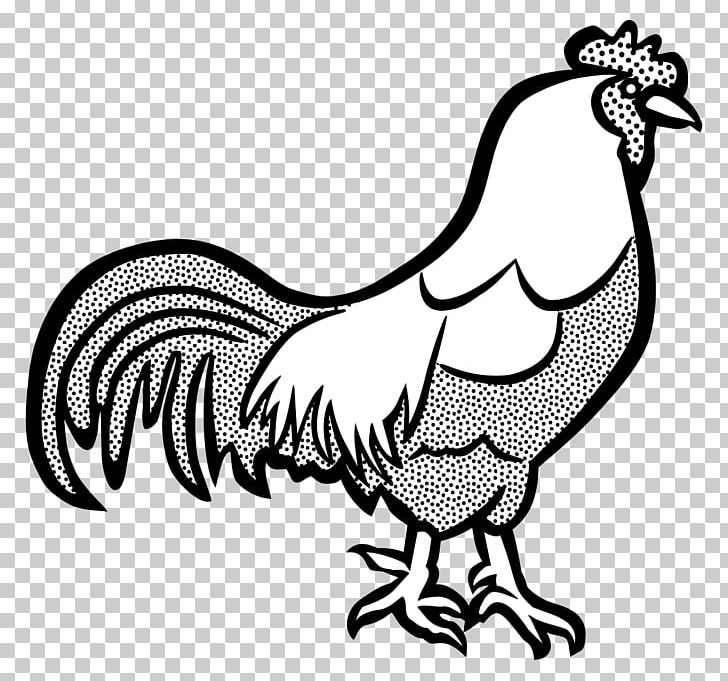 Wyandotte Chicken Cochin Chicken Dorking Chicken Rooster PNG, Clipart, Animals, Art, Artwork, Beak, Bird Free PNG Download
