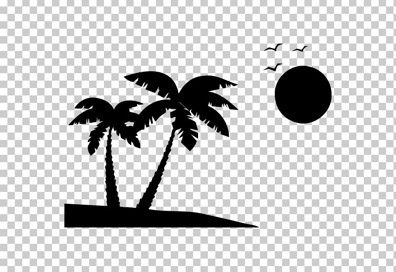 Palm Tree PNG, Clipart, Arecales, Blackandwhite, Branch, Leaf, Palm Tree Free PNG Download