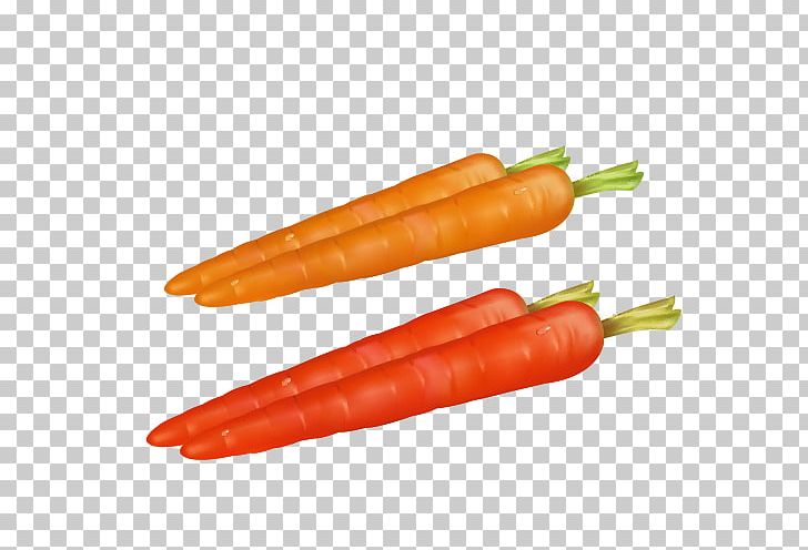 Baby Carrot Vegetable PNG, Clipart, Carrot, Carrot Vector, Daucus Carota, Download, Explosion Effect Material Free PNG Download