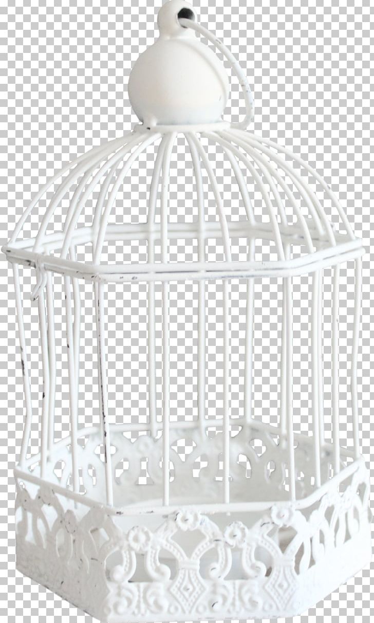 Birdcage Birdcage Cell PNG, Clipart, Animals, Bird, Bird Cage, Birdcage, Cage Free PNG Download