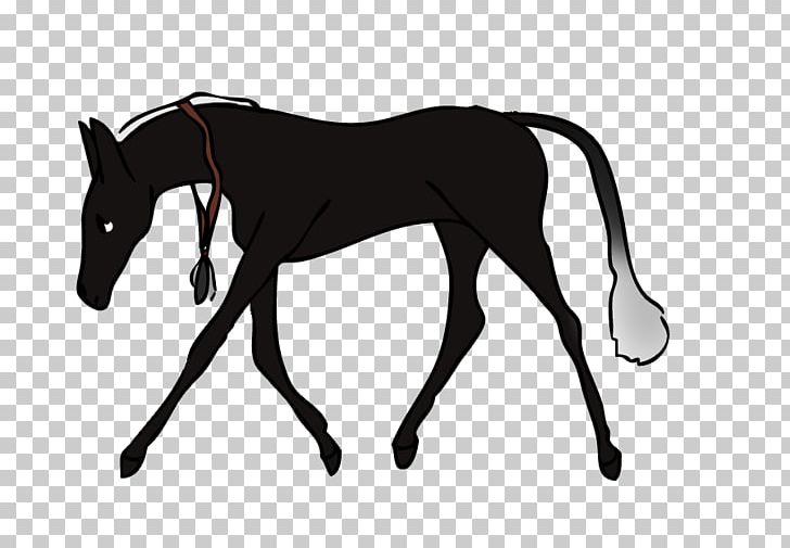 Mule Foal Stallion Halter Colt PNG, Clipart, Black, Black And White, Bridle, Colt, Fictional Character Free PNG Download