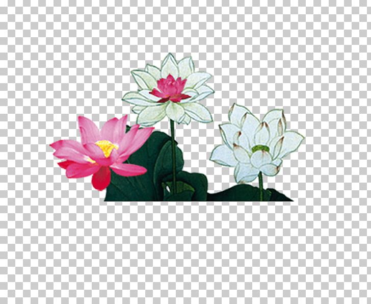 Nelumbo Nucifera Mooncake Mid-Autumn Festival Watercolor Painting PNG, Clipart, Aquatic Plant, Artificial Flower, Chine, Chinese Border, Chinese Lantern Free PNG Download