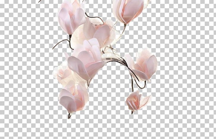 Petal Cut Flowers Pink M Plant Stem PNG, Clipart, Australian Mist, Blossom, Branch, Cut Flowers, Flower Free PNG Download