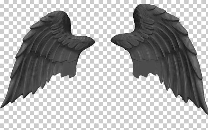 Portable Network Graphics EHC Black Wings Linz PNG, Clipart, Angel, Angle, Beak, Bird Of Prey, Black Free PNG Download