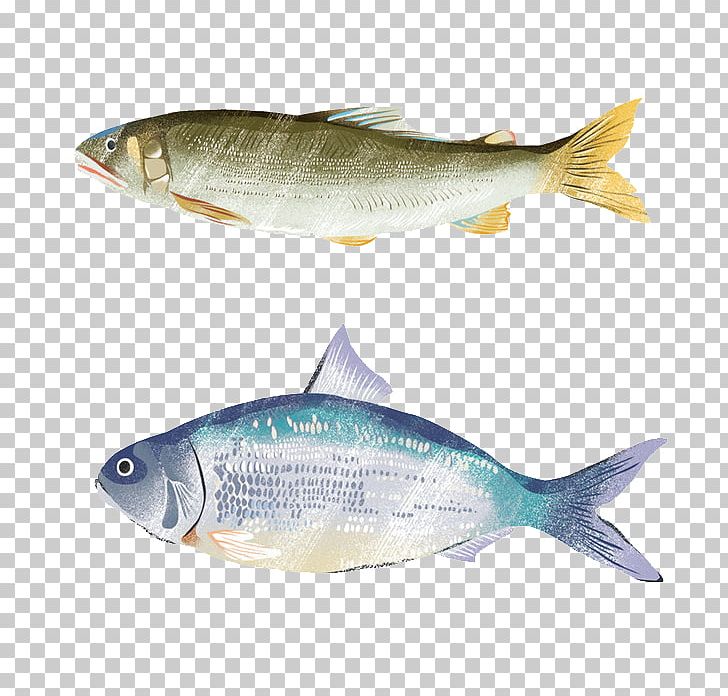 Sardine Common Carp Carassius Auratus Fish PNG, Clipart, Animals, Aquarium Fish, Bony Fish, Carp, Fauna Free PNG Download