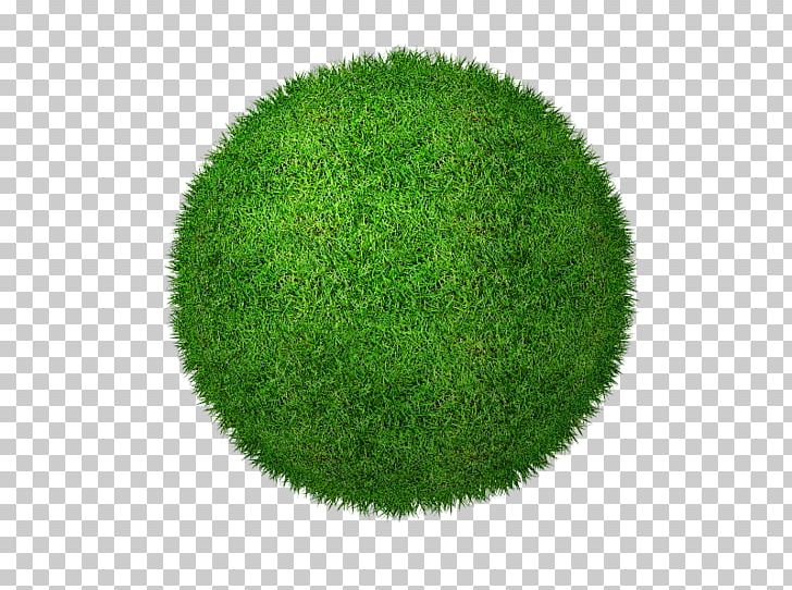 Lawn PNG, Clipart, Grass, Green, Green Grass, Lawn, Others Free PNG Download