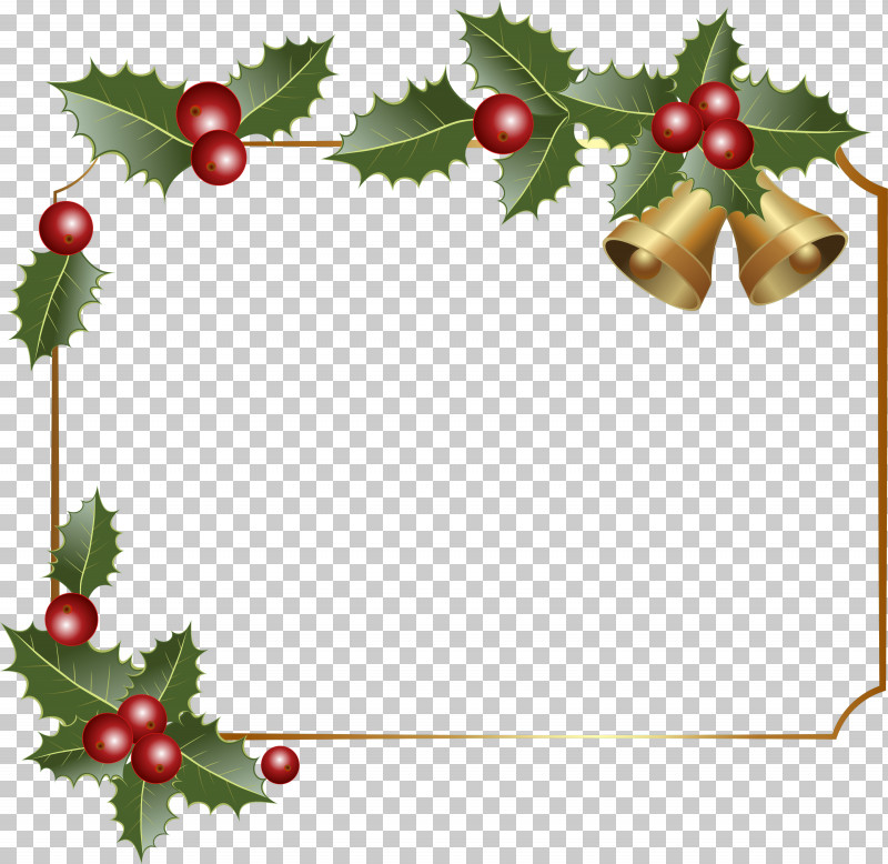 Holly PNG, Clipart, Berry, Fir, Holly, Pine Family, Plant Free PNG Download