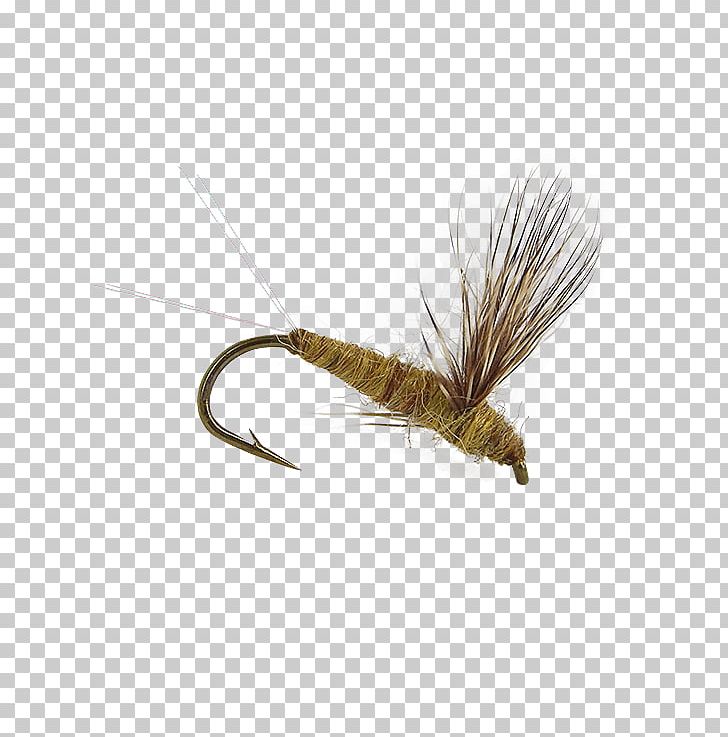 Artificial Fly Fly Fishing Insect Crane Fly PNG, Clipart, Artificial Fly, Crane Fly, Dry Fly Fishing, Feather, Fishing Free PNG Download