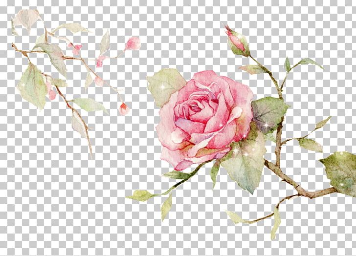 Centifolia Roses Garden Roses Floral Design Cut Flowers Flower Bouquet PNG, Clipart, Artificial Flower, Chinese Style, Computer Wallpaper, Design, Encapsulated Postscript Free PNG Download