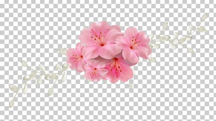 Portable Network Graphics Flower Desktop PNG, Clipart, Azalea, Blossom, Blue, Blue Rose, Branch Free PNG Download