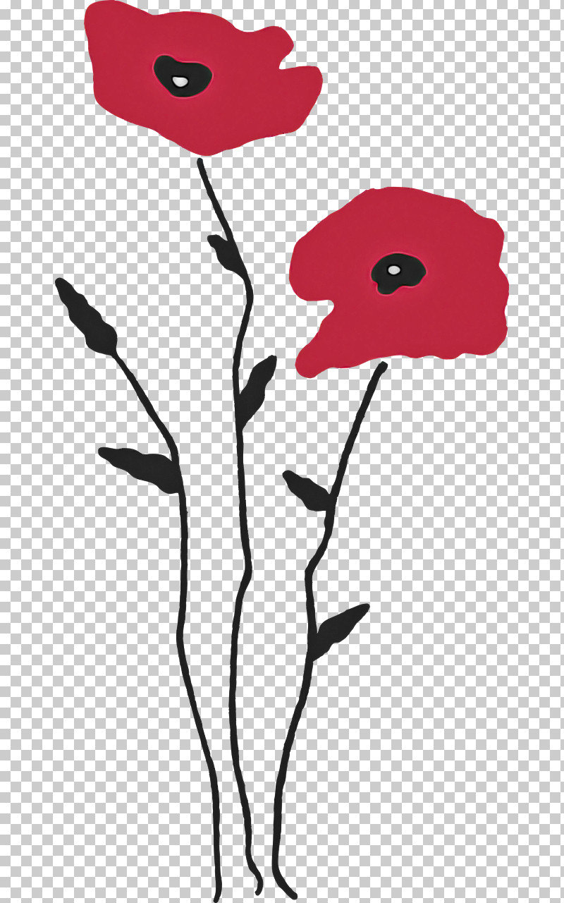 Plant Stem Drawing Poppy Cartoon PNG, Clipart, Biology, Cartoon, Drawing, Flower, Petal Free PNG Download