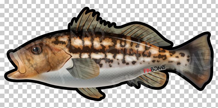 Bony Fishes Kelp Bass Sticker Decal PNG, Clipart, Animal Figure, Bass, Bass Fishing, Bony Fish, Bony Fishes Free PNG Download