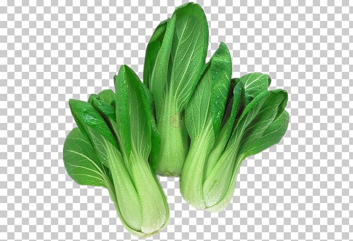 Komatsuna Choy Sum Organic Food Leaf Vegetable Chinese Cabbage PNG, Clipart, Bok, Bok Choy, Brassica Rapa, Capitata Group, Chinese Cabbage Free PNG Download