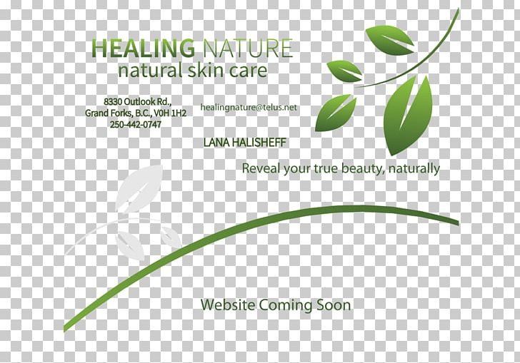 Leaf Logo Brand Font PNG, Clipart, Brand, Grass, Green, Leaf, Line Free PNG Download