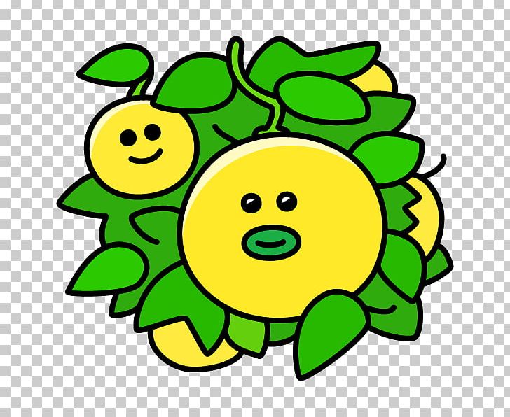 Product Fruit Leaf Special Olympics Area M PNG, Clipart, Area, Circle, Circle M Rv Camping Resort, Emoticon, Flower Free PNG Download