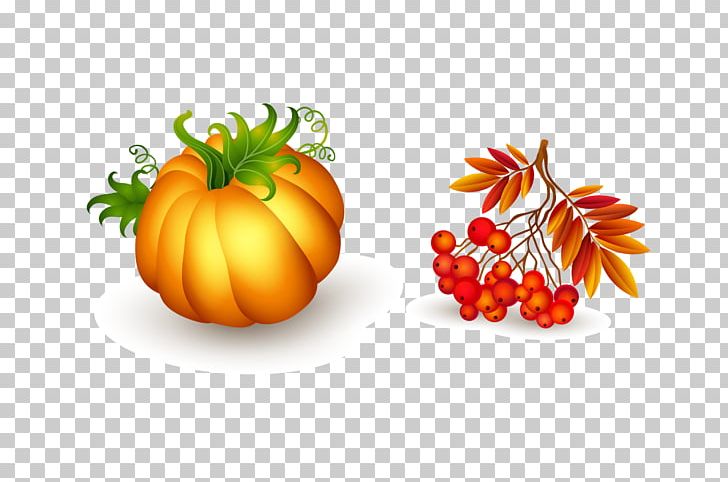 Thanksgiving PNG, Clipart, Cartoon, Cucurbita, Food, Fruit, Gourd Free PNG Download