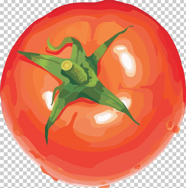 Vegetable Tomato Fruit PNG, Clipart, Eatgood, Entrepreneur, Fitfoods, Food, Fruit Free PNG Download
