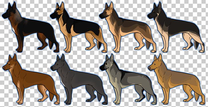 Ancient Dog Breeds German Shepherd Malinois Dog Border Collie PNG, Clipart, Alaskan Malamute, American Bully, Ancient Dog Breeds, Beauceron, Breed Free PNG Download