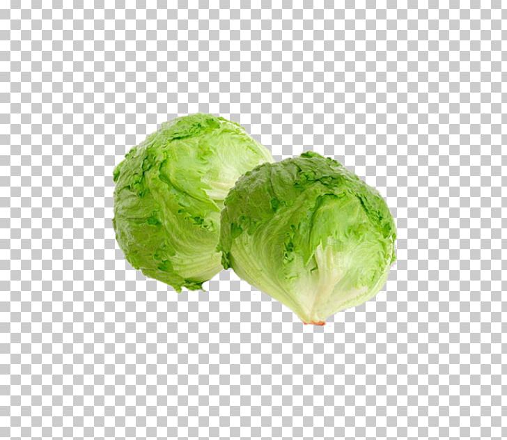 Brussels Sprout Romaine Lettuce Iceberg Lettuce Butterhead Lettuce Vegetable PNG, Clipart, Brussels Sprout, Butterhead Lettuce, Cabbage, Collard Greens, Cruciferous Vegetables Free PNG Download