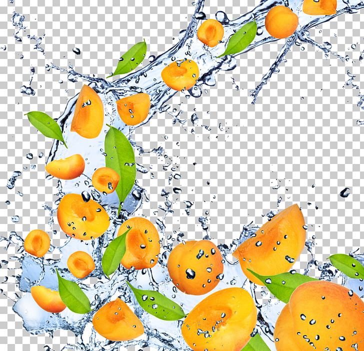 Fruit Apricot PNG, Clipart, 1080p, Apricot, Branch, Color Splash, Creative Background Free PNG Download