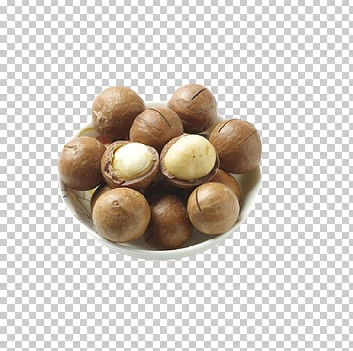 Macadamia Australia Walnut Zinc PNG, Clipart, Alloy, Apple Fruit, Australia, Customer, Designer Free PNG Download