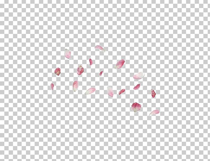 Petal PNG, Clipart, Blossoms, Cherry, Cherry Blossom, Cherry Blossoms, Editing Free PNG Download