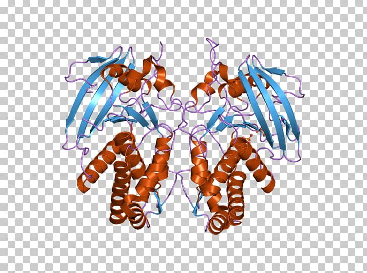 Tyrosine Protein Phosphatase Decapoda Gene PNG, Clipart, 2 G, Art, Decapoda, Domain, Ebi Free PNG Download