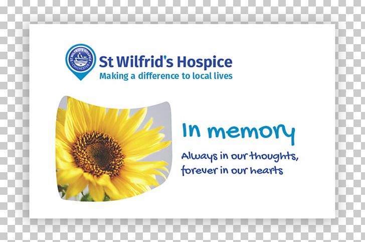 Car Donation Niagara Hospice St Wilfrid's Hospice Sunflower M PNG, Clipart,  Free PNG Download