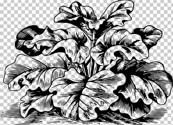 Garden Rhubarb Rhizome PNG, Clipart, Art, Black And White, Computer Icons, Drawing, Fictional Character Free PNG Download