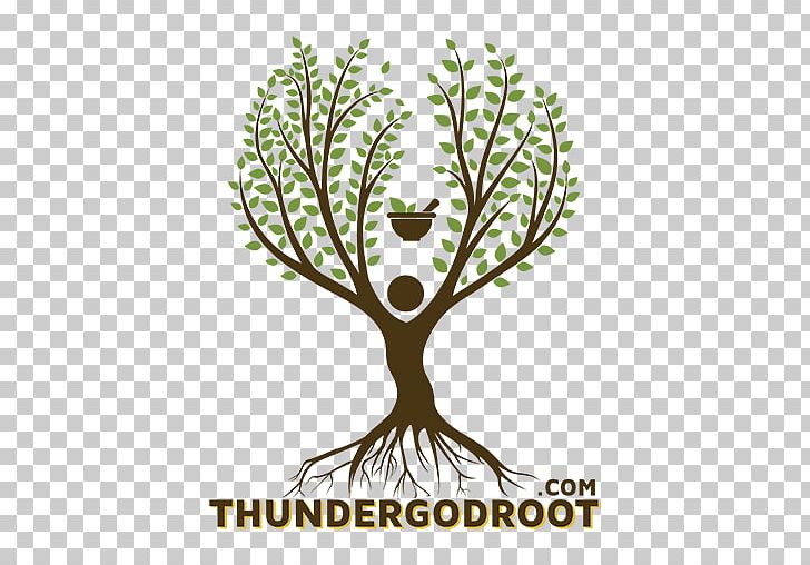 Logo Flowering Plant Plant Stem Font PNG, Clipart, Branch, Branching, Flower, Flowering Plant, God Of Thunder Free PNG Download