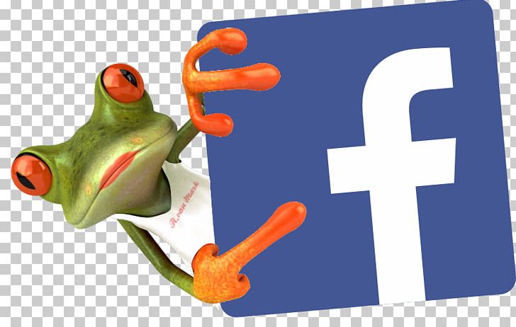 Social Media Marketing Social Network Facebook PNG, Clipart, Amphibian, Blog, Business, Facebook, Frog Free PNG Download