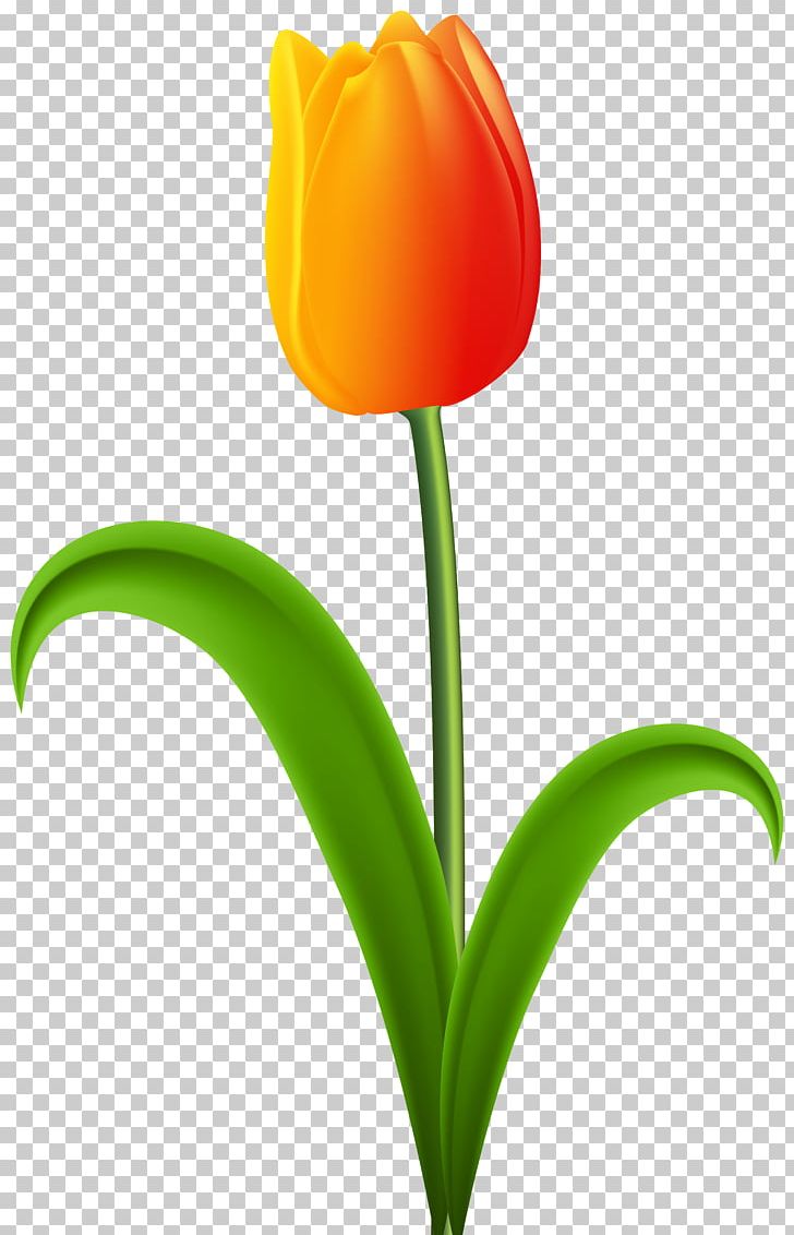Tulip Desktop Red PNG, Clipart, Clipart, Clip Art, Computer Icons, Computer Wallpaper, Cut Flowers Free PNG Download