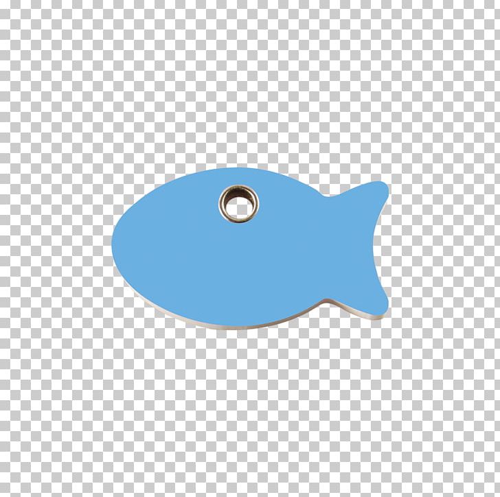 Fish Marine Mammal PNG, Clipart, Animals, Aqua, Blue, Fish, Fish Balls Free PNG Download