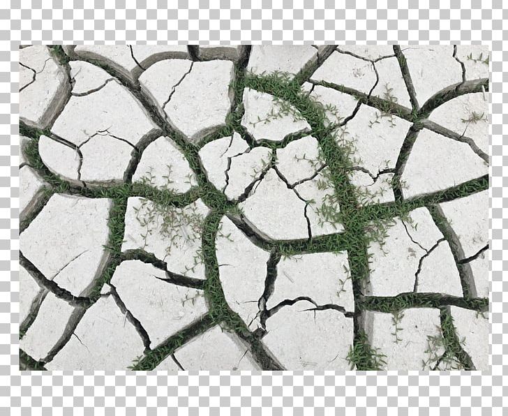 Map Photography PNG, Clipart, Branch, Cement, Crack, Cracked, Cracked Ground Free PNG Download