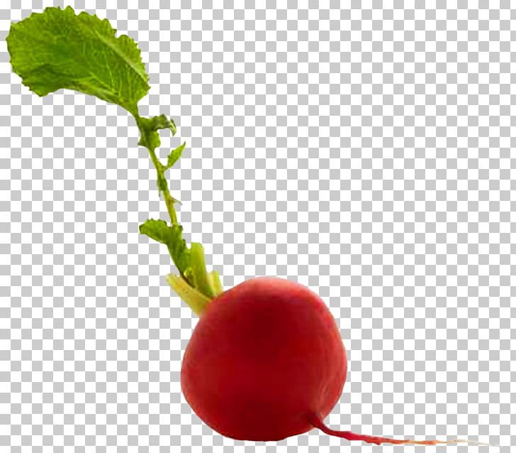 Patty Pan Radish Food Beetroot Potato PNG, Clipart, Asparagus, Beet, Beetroot, Calorie, Capitata Group Free PNG Download