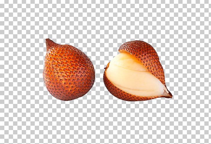 Snake Asinan Fruit Salak Pondoh Auglis PNG, Clipart, Animals, Arecaceae, Asinan, Auglis, Cockle Free PNG Download