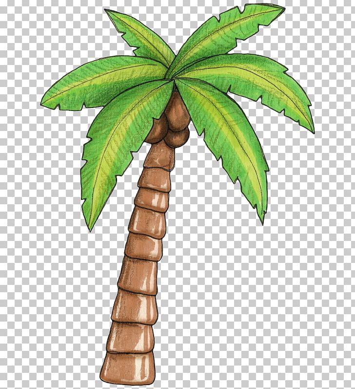 Arecaceae Tree PNG, Clipart, Ala Moana Beach, Arecaceae, Arecales, Clip Art, Coconut Free PNG Download