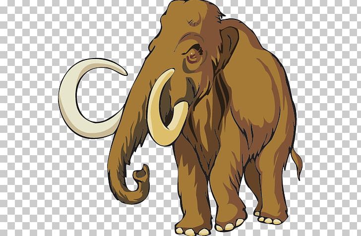 Woolly Mammoth A Mammoth Problem The Mystery Of The Missing Roman Coins Book PNG, Clipart, Big Cats, Book, Carnivoran, Cat Like Mammal, Elephant Free PNG Download