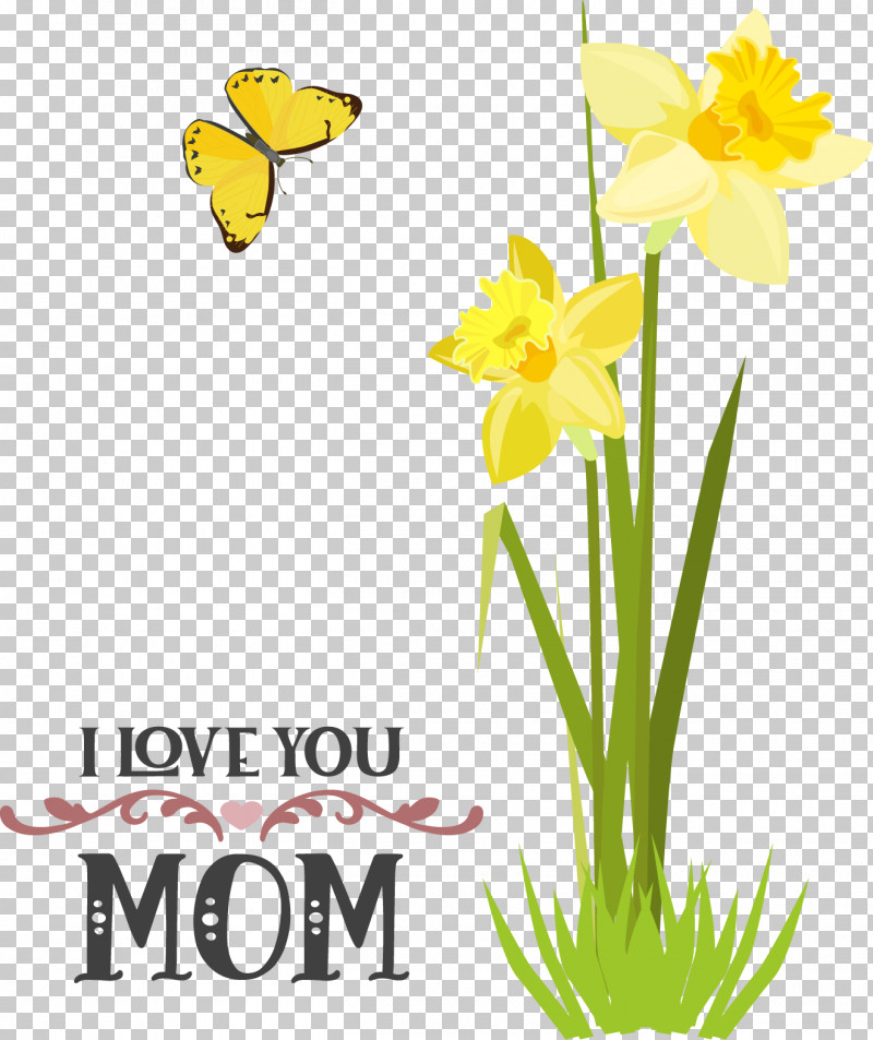 Plant Stem Daffodil Flower Cut Flowers Yellow PNG, Clipart, Biology, Cut Flowers, Daffodil, Flower, Meter Free PNG Download