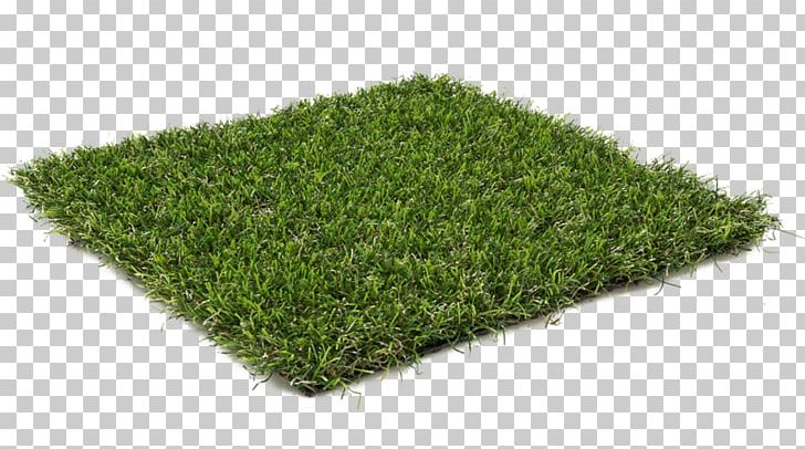 Lawn Artificial Turf Grass Garden Carpet PNG, Clipart, Artificial Turf, Balcony, Carpet, Carpet Grass, Cypress Free PNG Download